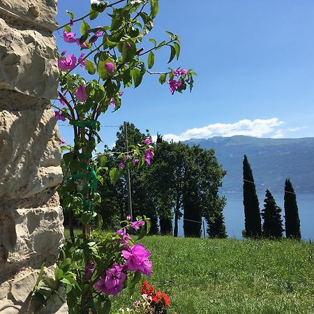 Agriturismo Casa Del Castagneto Gargnano Dış mekan fotoğraf